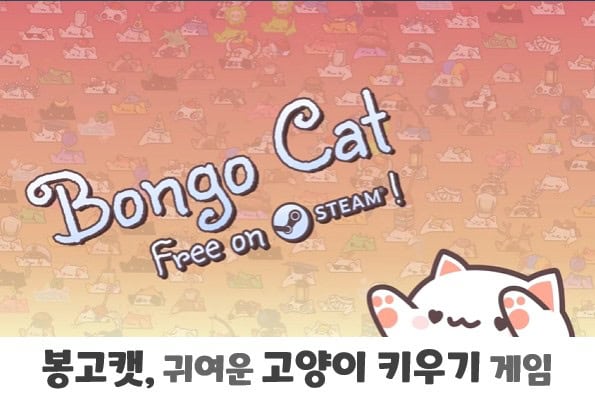 🐾 컴퓨터 위를 누비는 귀여운 고양이, 봉고캣(Bongo Cat) – 작은 힐링부터 미래 감성까지